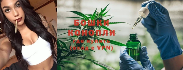 ПСИЛОЦИБИНОВЫЕ ГРИБЫ Беломорск
