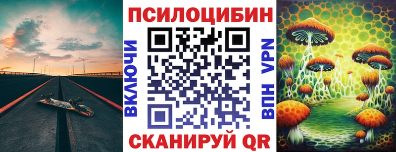 Псилоцибиновые грибы Psilocybe  Купить закладки  Семилуки 